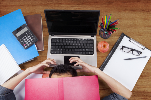 Counseling for Chicago College Students